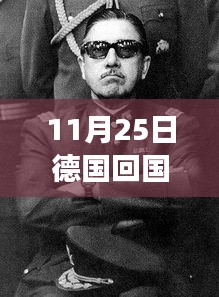 風(fēng)起云涌之際，德國回國最新動態(tài)與影響分析（11月25日更新）