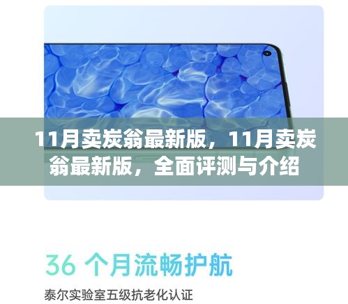 最新11月賣炭翁全面評測與介紹