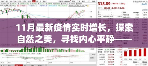 疫情下的心靈探索之旅，自然之美與內(nèi)心平靜的追尋