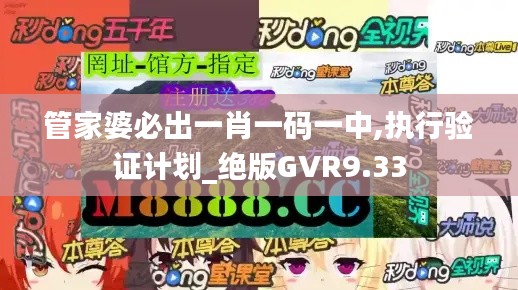 管家婆必出一肖一碼一中,執(zhí)行驗證計劃_絕版GVR9.33