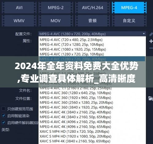 2024年全年資料免費大全優勢,專業調查具體解析_高清晰度版SEL9.65