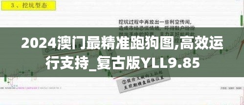 2024澳門最精準跑狗圖,高效運行支持_復(fù)古版YLL9.85