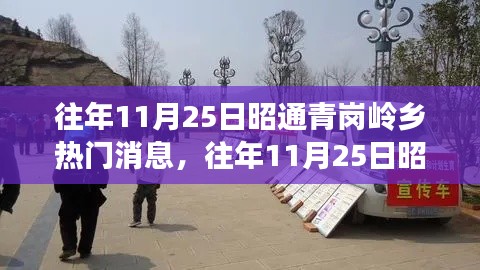 往年11月25日昭通青崗嶺鄉熱門消息深度解析，特性、體驗、競品對比與用戶洞察