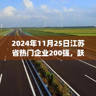 江蘇省企業(yè)巔峰榜，勵(lì)志故事與變化成就榮耀之路（2024年江蘇省熱門(mén)企業(yè)200強(qiáng)）