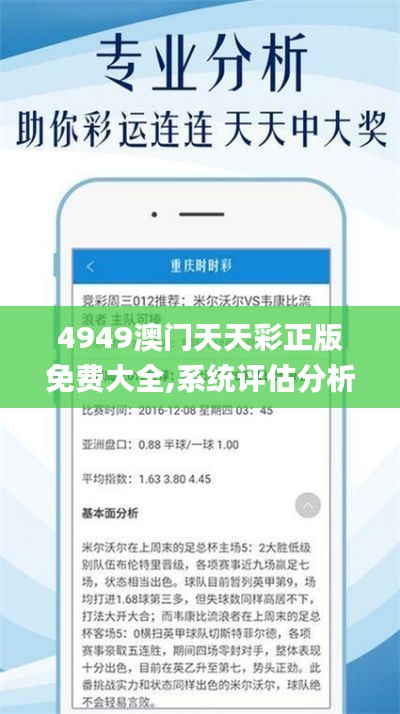 4949澳門天天彩正版免費大全,系統評估分析_獲取版RMJ9.71