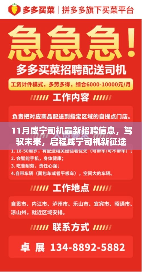 11月咸寧司機(jī)最新招聘信息，駕馭未來，啟程新征程！