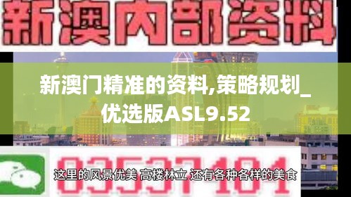 新澳門精準的資料,策略規劃_優選版ASL9.52