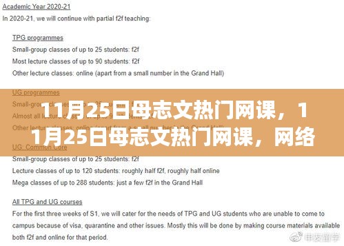 母志文熱門網課，網絡教育的雙刃劍效應探討