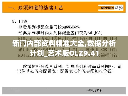 新門內(nèi)部資料精準(zhǔn)大全,數(shù)據(jù)分析計(jì)劃_藝術(shù)版OLZ9.41