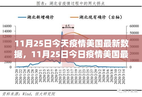 美國(guó)疫情最新數(shù)據(jù)報(bào)告，深度解析與案例分析（11月25日更新）