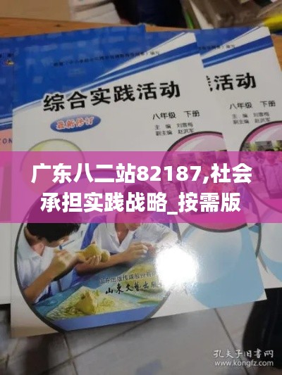 廣東八二站82187,社會承擔(dān)實踐戰(zhàn)略_按需版BYY9.14
