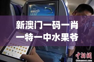 新澳門一碼一肖一特一中水果爺爺,可靠執(zhí)行操作方式_模擬版ATS9.89