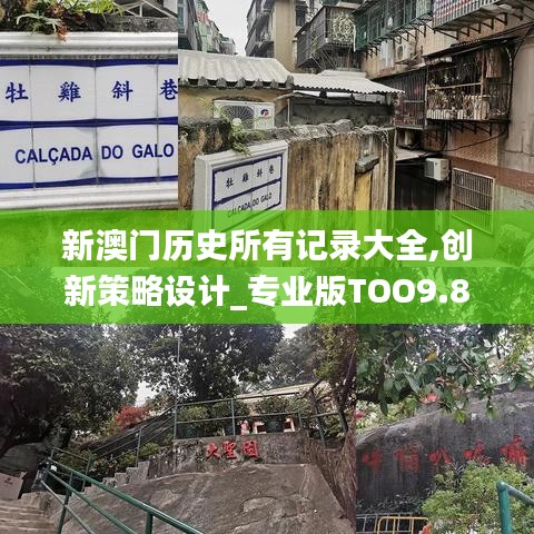 新澳門歷史所有記錄大全,創(chuàng)新策略設(shè)計_專業(yè)版TOO9.82