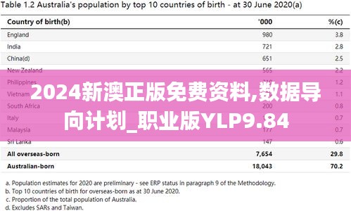 2024新澳正版免費資料,數據導向計劃_職業(yè)版YLP9.84
