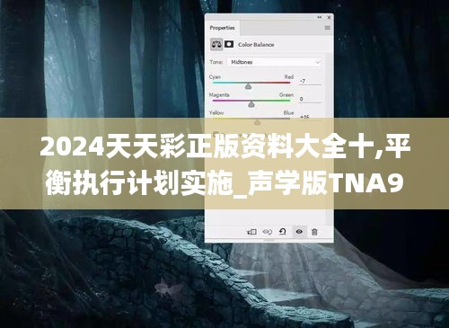 2024天天彩正版資料大全十,平衡執(zhí)行計劃實施_聲學(xué)版TNA9.91