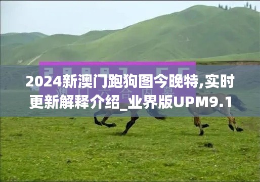 2024新澳門跑狗圖今晚特,實(shí)時(shí)更新解釋介紹_業(yè)界版UPM9.13