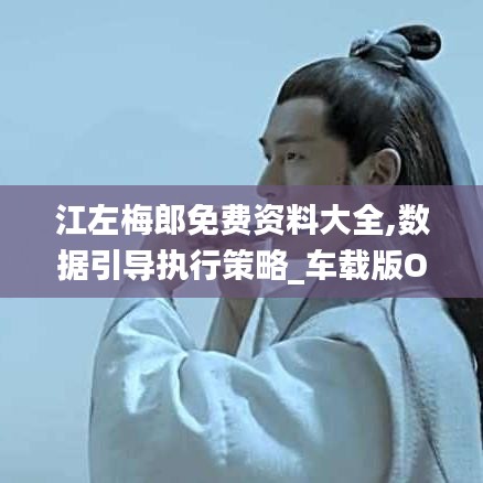 江左梅郎免費資料大全,數(shù)據(jù)引導(dǎo)執(zhí)行策略_車載版OHX9.85