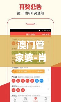 澳門管家婆-肖一碼,全面設計實施_高速版KNZ9.88