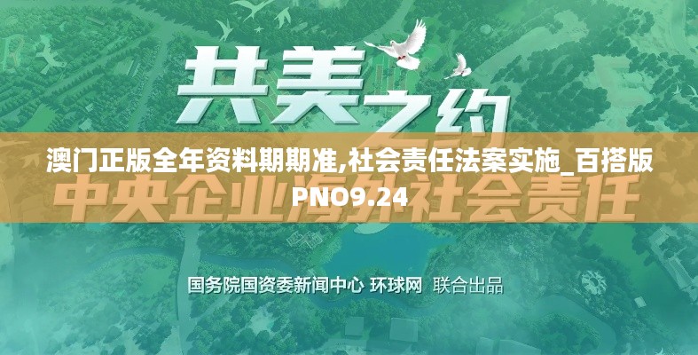 澳門正版全年資料期期準(zhǔn),社會責(zé)任法案實施_百搭版PNO9.24