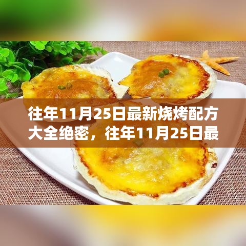 往年11月25日最新燒烤配方大全揭秘，專業(yè)評(píng)測(cè)與深度介紹