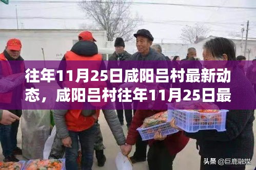 咸陽呂村11月25日最新動態(tài)深度解析與評測介紹