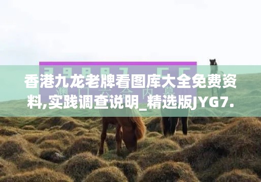 香港九龍老牌看圖庫大全免費(fèi)資料,實(shí)踐調(diào)查說明_精選版JYG7.2