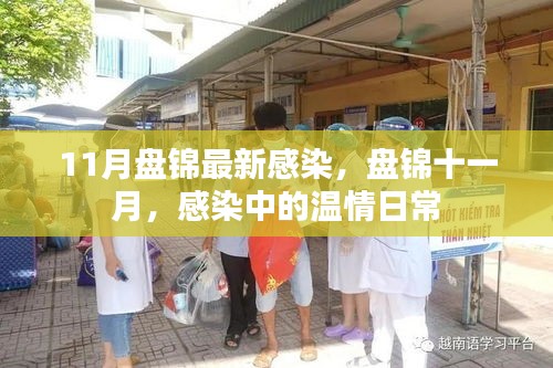 盤(pán)錦十一月，溫情日常中的最新感染情況