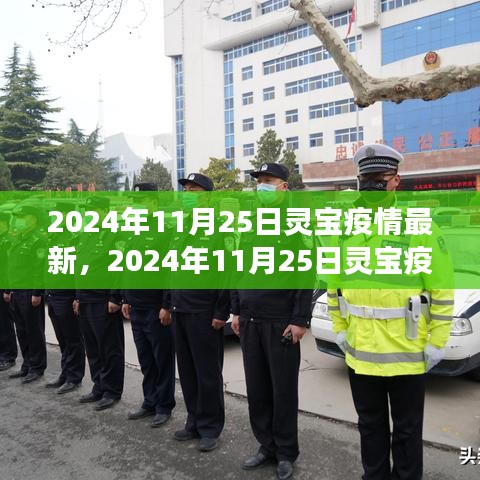 初學(xué)者與進(jìn)階用戶必讀，2024年11月25日靈寶疫情最新情況及應(yīng)對(duì)指南