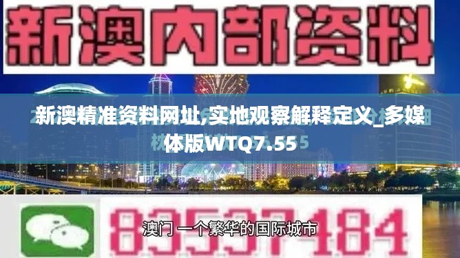 新澳精準(zhǔn)資料網(wǎng)址,實地觀察解釋定義_多媒體版WTQ7.55