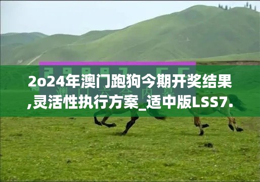 2o24年澳門跑狗今期開(kāi)獎(jiǎng)結(jié)果,靈活性執(zhí)行方案_適中版LSS7.68