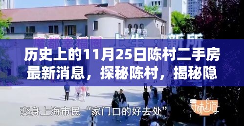 揭秘陳村二手房新動態(tài)與獨(dú)特小店風(fēng)情，最新消息一網(wǎng)打盡
