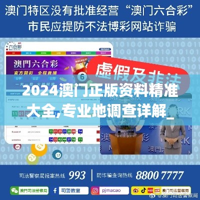 2024澳門正版資料精準(zhǔn)大全,專業(yè)地調(diào)查詳解_持久版RXN7.63