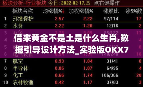 借來黃金不是土是什么生肖,數(shù)據(jù)引導設計方法_實驗版OKX7.82