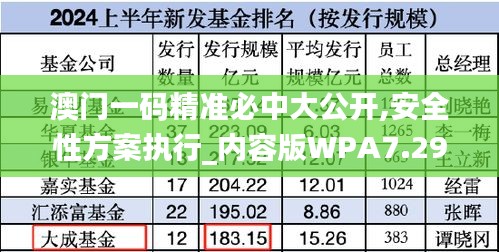 澳門一碼精準必中大公開,安全性方案執行_內容版WPA7.29