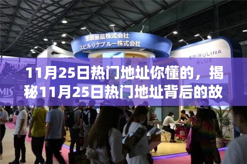 揭秘11月25日熱門地址背后的故事，背景、事件與深遠影響回顧