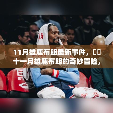 十一月雄鹿布朗的奇妙冒險(xiǎn)，自然美景中的治愈之旅揭秘