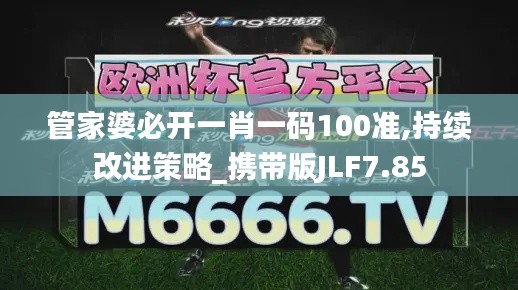 管家婆必開一肖一碼100準(zhǔn),持續(xù)改進(jìn)策略_攜帶版JLF7.85