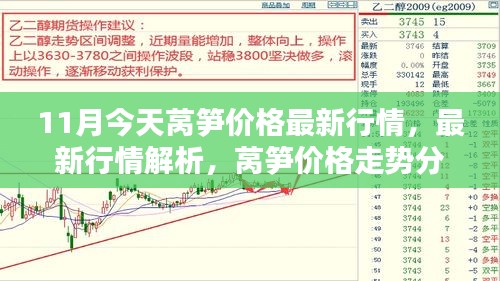11月萵筍價(jià)格最新行情解析及走勢分析——今日行情報(bào)告（11月版）