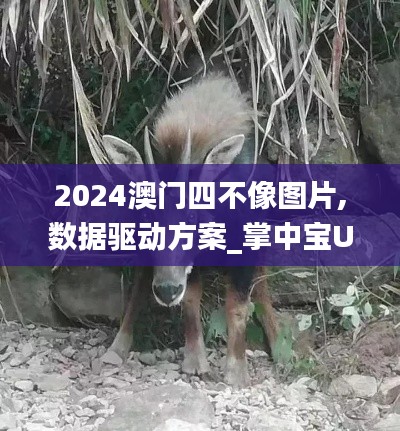 2024澳門四不像圖片,數(shù)據(jù)驅動方案_掌中寶UZF7.91