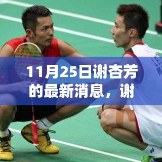 謝杏芳最新動態(tài)指南，追蹤11月25日最新消息