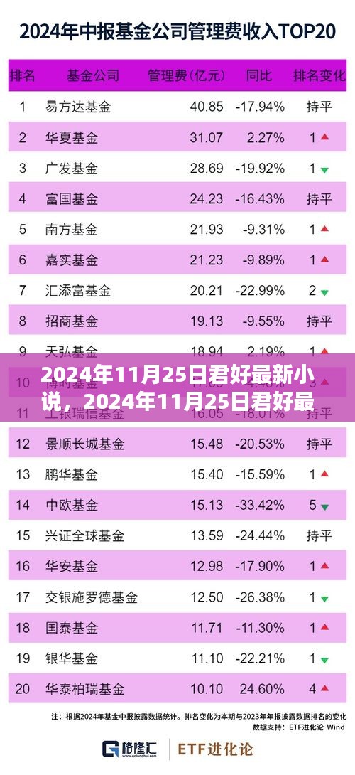 2024年11月25日君好最新小說發(fā)布，探索文學(xué)新境界