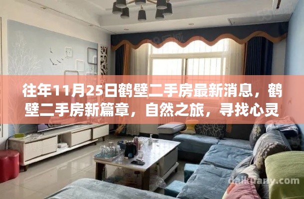 往年11月25日鶴壁二手房最新動(dòng)態(tài)，心靈港灣的自然之旅
