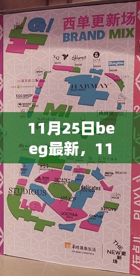 11月25日beeg最新，11月25日Beeg最新更新，深度探討其影響及觀點
