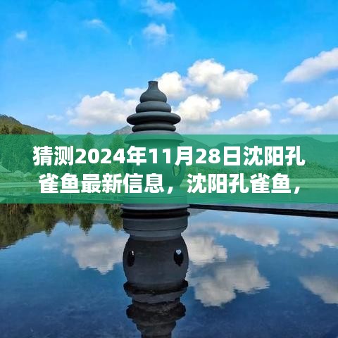 沈陽孔雀魚未來展望，探尋歷史與未來的交織之美，預測2024年11月最新信息揭秘
