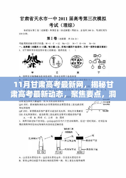 聚焦甘肅高考最新動態，揭秘要點、洞悉趨勢