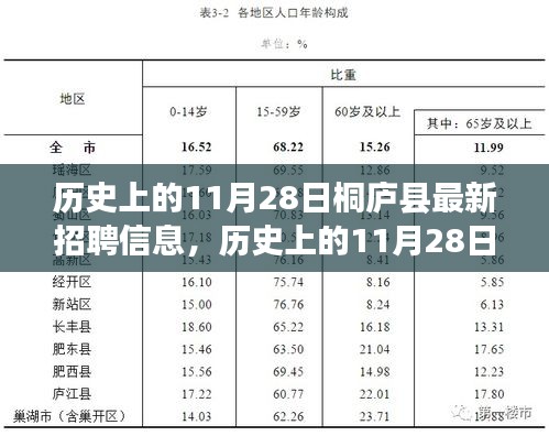 歷史上的11月28日桐廬縣最新招聘信息深度解析與觀點闡述