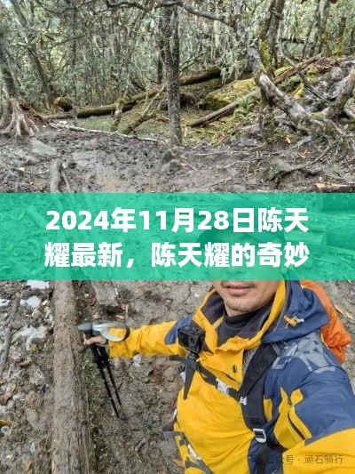 陳天耀的奇妙探險之旅，自然美景與內心寧靜的雙重探索（2024年11月28日最新）