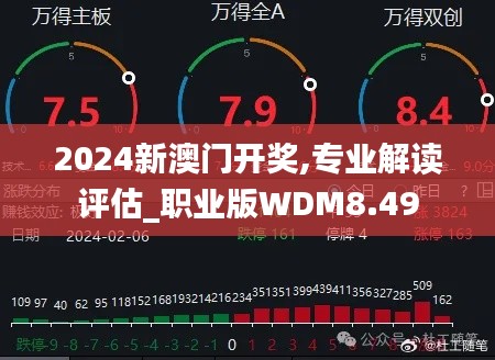2024新澳門開獎,專業(yè)解讀評估_職業(yè)版WDM8.49