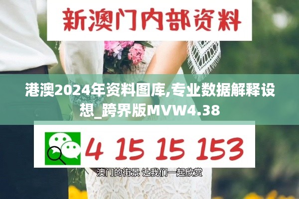 港澳2024年資料圖庫,專業(yè)數(shù)據(jù)解釋設想_跨界版MVW4.38