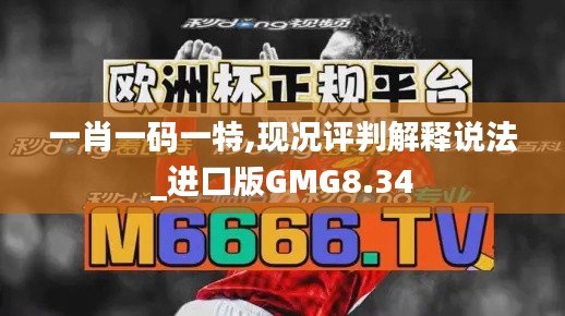 一肖一碼一特,現(xiàn)況評判解釋說法_進口版GMG8.34